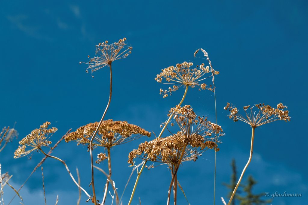 20140928_086